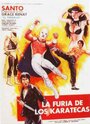 Фильм «La furia de los karatecas» скачать бесплатно в хорошем качестве без регистрации и смс 1080p