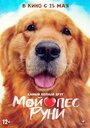 Фильм «Мой пёс Руни» смотреть онлайн фильм в хорошем качестве 720p