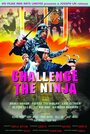 «Challenge of the Ninja» кадры фильма в хорошем качестве