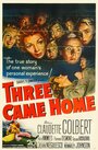 «Three Came Home» трейлер фильма в хорошем качестве 1080p