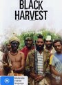 Фильм «Black Harvest» смотреть онлайн фильм в хорошем качестве 720p