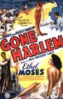 Фильм «Gone Harlem» скачать бесплатно в хорошем качестве без регистрации и смс 1080p