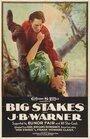 Фильм «Big Stakes» смотреть онлайн фильм в хорошем качестве 1080p