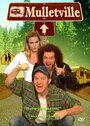 Фильм «Mulletville» смотреть онлайн фильм в хорошем качестве 720p