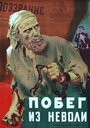 «Побег из неволи» кадры фильма в хорошем качестве