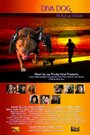 Фильм «Diva Dog: Pit Bull on Wheels» смотреть онлайн фильм в хорошем качестве 720p