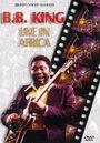 Фильм «B.B. King: Live in Africa» скачать бесплатно в хорошем качестве без регистрации и смс 1080p