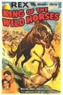 Фильм «The King of Wild Horses» смотреть онлайн фильм в хорошем качестве 720p