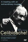 Фильм «Celibidache» скачать бесплатно в хорошем качестве без регистрации и смс 1080p