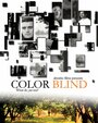 Фильм «Color Blind» скачать бесплатно в хорошем качестве без регистрации и смс 1080p