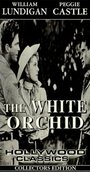 Фильм «The White Orchid» смотреть онлайн фильм в хорошем качестве 720p