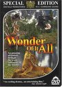 Фильм «Wonder of It All» смотреть онлайн фильм в хорошем качестве 720p