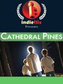 Фильм «Cathedral Pines» смотреть онлайн фильм в хорошем качестве 720p