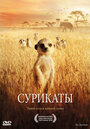 Фильм «Сурикаты» смотреть онлайн фильм в хорошем качестве 720p