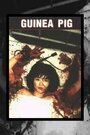 Фильм «Ginî piggu: Zansatsu supesharu» смотреть онлайн фильм в хорошем качестве 720p