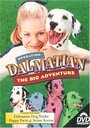 Фильм «Operation Dalmatian: The Big Adventure» смотреть онлайн фильм в хорошем качестве 720p