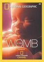 «Life Before Birth» кадры фильма в хорошем качестве