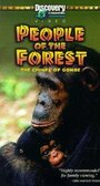 Фильм «People of the Forest: The Chimps of Gombe» смотреть онлайн фильм в хорошем качестве 720p