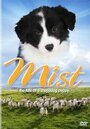 Фильм «Mist: The Tale of a Sheepdog Puppy» смотреть онлайн фильм в хорошем качестве 720p