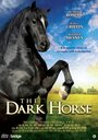 Фильм «The Dark Horse» скачать бесплатно в хорошем качестве без регистрации и смс 1080p