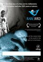 Фильм «Rare Bird» смотреть онлайн фильм в хорошем качестве 720p