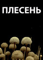 «Плесень» кадры фильма в хорошем качестве