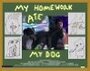 My Homework Ate My Dog (2009)