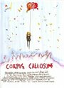 Фильм «Corpus Callosum» скачать бесплатно в хорошем качестве без регистрации и смс 1080p