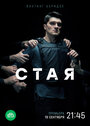 Сериал «Стая» смотреть онлайн сериал в хорошем качестве 720p