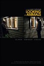 «Looking at Animals» трейлер фильма в хорошем качестве 1080p