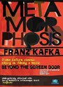 Фильм «Metamorphosis: Beyond the Screen Door» скачать бесплатно в хорошем качестве без регистрации и смс 1080p