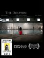 Фильм «The Dolphin» скачать бесплатно в хорошем качестве без регистрации и смс 1080p