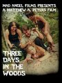 Фильм «Three Days in the Woods» смотреть онлайн фильм в хорошем качестве 1080p