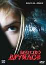 Фильм «Братство друидов» смотреть онлайн фильм в хорошем качестве 720p