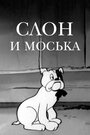 Мультфильм «Слон и Моська» смотреть онлайн в хорошем качестве 1080p