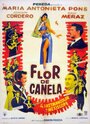 Фильм «Flor de canela» смотреть онлайн фильм в хорошем качестве 1080p