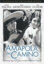 «Amapola del camino» кадры фильма в хорошем качестве