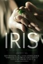 «Iris» кадры фильма в хорошем качестве