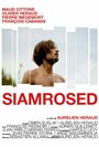 «Siamrosed» кадры фильма в хорошем качестве