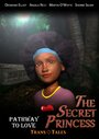 Мультфильм «The Secret Princess» скачать бесплатно в хорошем качестве без регистрации и смс 1080p