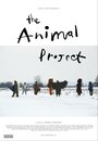 «The Animal Project» кадры фильма в хорошем качестве