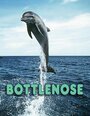 Фильм «Bottlenose» скачать бесплатно в хорошем качестве без регистрации и смс 1080p