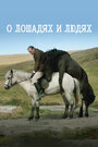 Фильм «О лошадях и людях» смотреть онлайн фильм в хорошем качестве 1080p