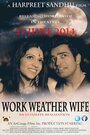 Фильм «WWW: Work Weather Wife» смотреть онлайн фильм в хорошем качестве 1080p