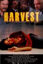 Фильм «Harvest» смотреть онлайн фильм в хорошем качестве 1080p