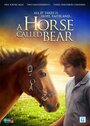 Фильм «A Horse Called Bear» смотреть онлайн фильм в хорошем качестве 1080p