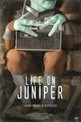 Фильм «Life on Juniper» смотреть онлайн фильм в хорошем качестве 720p