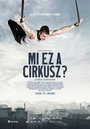 Фильм «Mi ez a cirkusz?» смотреть онлайн фильм в хорошем качестве 1080p