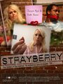 Фильм «Strayberry» скачать бесплатно в хорошем качестве без регистрации и смс 1080p