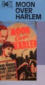 «Moon Over Harlem» кадры фильма в хорошем качестве